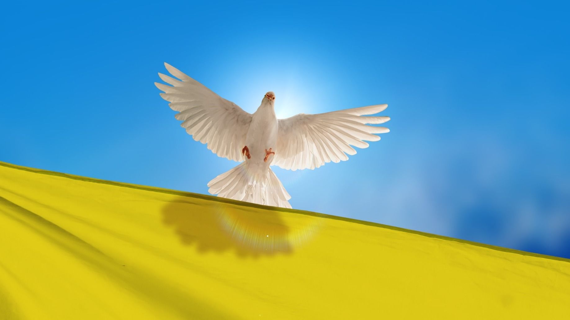 Bistum spendet Kollekte des Bonifatiusfestes in die Ukraine